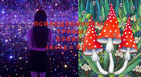 spice Надым