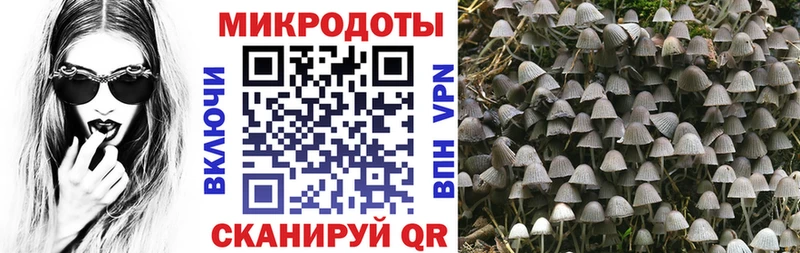 Галлюциногенные грибы Cubensis  Нахабино 